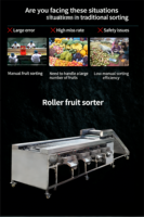 Efficiënte XINCHUAN XC-serie RVS fruit- en groentesorteermachine 1,5KW 220V/380V PLC-componenten sorteermachine