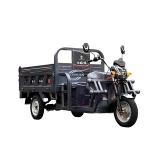 Durable High Power Closed Electric Trike Cargo Transport Vehicle - Product Image 1