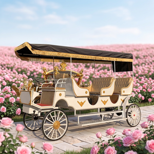 Véhicule électrique convertible de luxe à trois rangées pour le tourisme en extérieur, chariot à chevaux électrique à quatre roues pour le tourisme - Product Image 1