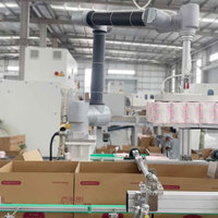 Intelligence robotique à commande électrique pour un emballage précis par préhension et placement. Assure un chargement de casiers efficace et précis.
