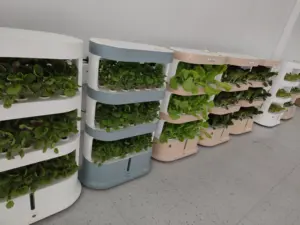 Indoor Verticaal Hydrocultuur Cultivator Plantsysteem Voor Grondloze Teelt