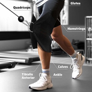 Equipo de Protección para Ejercicios de Fitness, Estiramiento y Sentadillas, para Fortalecer los Músculos Abdominales y las Rodillas - Product Image 3