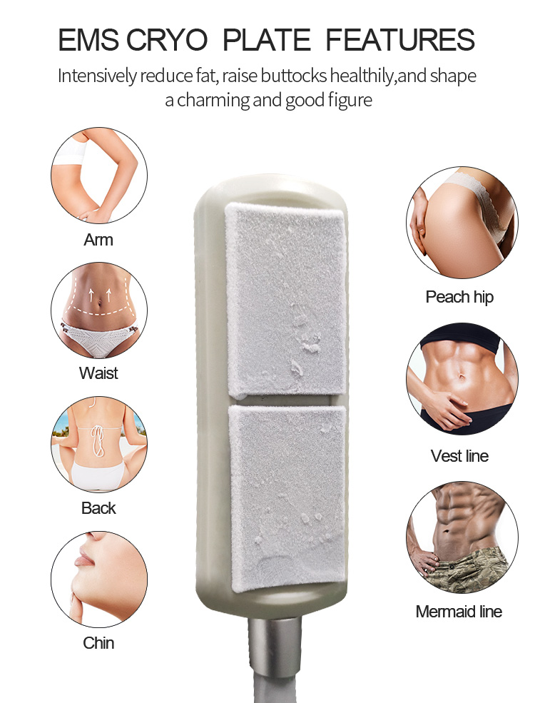 ems cryo plate features