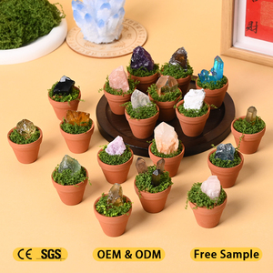 Nouveau Produit : Cadeaux de spécimens minéraux naturels, pierres brutes de cristal, roches de bonsaï pour la guérison et la décoration - Product Image 2