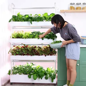 Tự Động Trang Chủ Vườn Aquaponics Thủy Canh Thủy Canh Cung Cấp Hệ Thống Thủy Canh Dọc Hoàn Chỉnh Để Trồng Rau