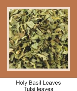 Poudre de feuilles de basilic Tulsi à base de plantes pures - Culture sauvage, qualité alimentaire, séchée, expédition mondiale - Product Image 5
