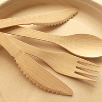 100% Naturel Premium Bambou Fourchettes Cuillères Couteaux Ustensiles Jetables De Qualité Alimentaire pour Camping Fabriqué en Chine