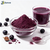 Poudre de superaliments OEM de haute qualité, poudre de fruits de baies d'açaï, poudre de jus de baies d'açaï