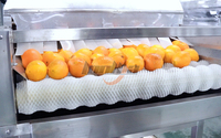 Industriële fruitwasser, tomatenborstelreinigingsmachine, sinaasappelsorteer- en -gradeermachine, citroenverwerkingslijn