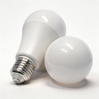 Ampoule LED Globe A60 certifiée UL CE OEM ODM WOOJONG E26 E27 B22 5W-24W 110V Blanc Chaud Lumière du Jour pour Maison Bureau Hôtel