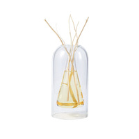 Diffuseur de parfum en verre vide, style simple, Dragon Willow Rattan, huile essentielle, Little Red Book No Fire Aroma Bottle