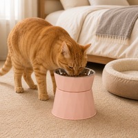 Bol pour chat en acier inoxydable en gros, ergonomique, surélevé, anti-vomissement, pour chaton