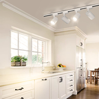Pour magasin de vêtements, éclairage sur rail LED linéaire noir 20W à haut lumen, éclairage sur rail magnétique, éclairage sur rail LED, éclairage sur rail