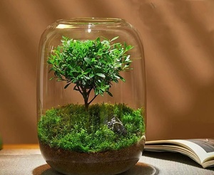 T-439 albero della vita moderna bottiglia ecologica Desktop Micro-paesaggio vaso di vetro trasparente per la coltivazione di <span class=keywords><strong>piante</strong></span> verdi - Product Image 2