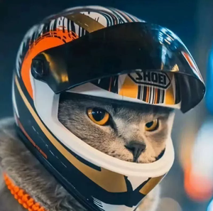 <span class=keywords><strong>Casco</strong></span> de Motocicleta Ecológico para Gatos, Resistente al Viento, para Todas las Estaciones, Material Plástico, Diseño Moderno para Dueños de Gatos - Product Image 2