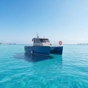 <span class=keywords><strong>Barca</strong></span> da Pesca in Alluminio Saldato a Doppio Scafo da 9,93m Approvata CE, 12 Posti, Doppio Motore Fuoribordo da 150HP, <span class=keywords><strong>per</strong></span> Sport e Intrattenimento Offshore - Product Image 6