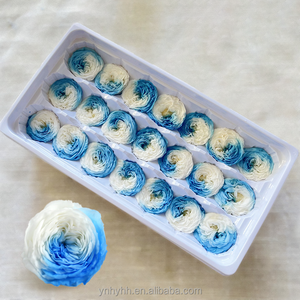 Venta Caliente, Cabezas de Rosas Preservadas de Grado A de 2-3 cm, Flores Eternas de Austin para Manualidades, Decoración del Hogar, Bodas, Navidad - Product Image 3