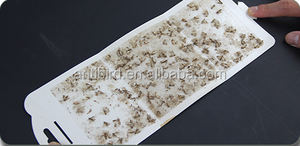 Pièges à <span class=keywords><strong>mites</strong></span> Haierc pour vêtements, piège à <span class=keywords><strong>mites</strong></span> de garde-manger, piège à mouches à colle avec phéromones - Product Image 4