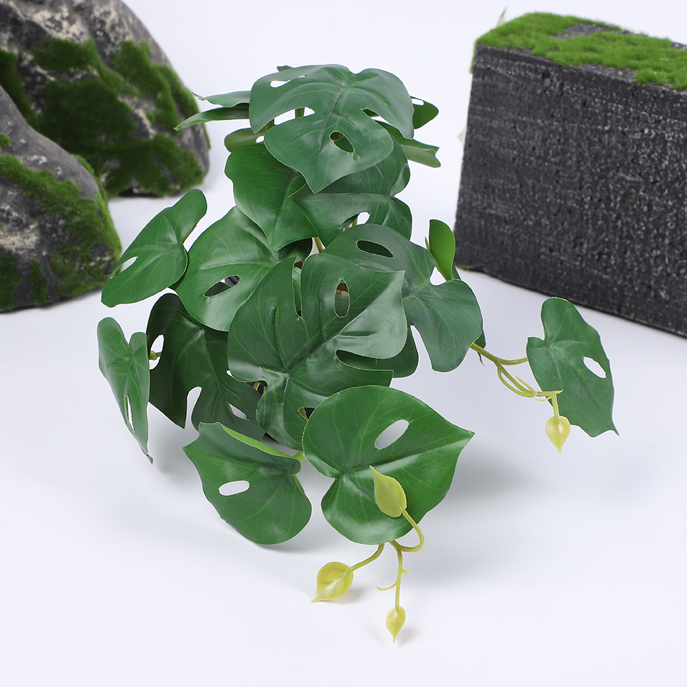 Green-2