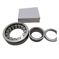 Roulement en acier NUP311 Roulement à rouleaux cylindriques NUPK311NR