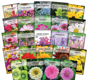 Grande collection <span class=keywords><strong>de</strong></span> fleurs pour la plantation en jardin, variétés anciennes non-OGM, zinnias attirant les pollinisateurs, bouquets à couper - Product Image 1