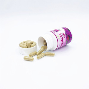 Venta al por mayor de fábrica <span class=keywords><strong>Echinacea</strong></span> Purpurea Flower Extract Polifenoles 4% Natural <span class=keywords><strong>Echinacea</strong></span> Extract Powder Capsules - Product Image 2