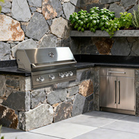 Barbecue à gaz CE Premium durable en acier inoxydable 304 intégré pour cuisine extérieure, cour et jardin, 4 brûleurs (GPL/GN)