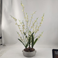 Bunga Delphinium Putih Sutra Buatan Berkualitas Tinggi untuk Pernikahan, Paskah, Pesta Wisuda, Dekorasi Rumah, Ramah Lingkungan