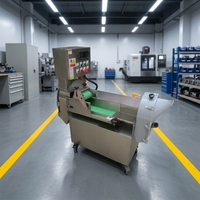 Machine à découper les légumes, les oignons et les pommes de terre, à trancher les fruits, en acier inoxydable SUS304, avec moteur électrique, garantie 1 an