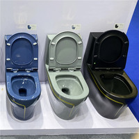 WC monobloc en céramique personnalisable, couleur mate, pour salle de bain