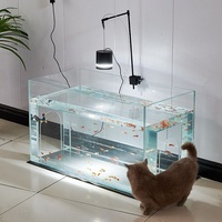 Aquarium cylindrique en verre ultra-transparent, intégré avec abri pour chat et tunnel, petit modèle domestique, ornemental, pour la décoration intérieure