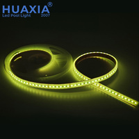 Lampu Strip LED Kolam Renang Silika Gel Tahan Air IP68 DC12V/24V 72W RGB Neon SMD5050 Kontrol Jarak Jauh Luar Ruangan 5M/roll