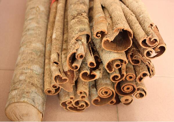 Super CO2 extract Honokiol Corter Magnolia Cortex P.E Magnolol powder