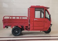 Tricycle électrique cargo à 3 roues pour adultes Chongqing Cheetah Power ATV - 2026