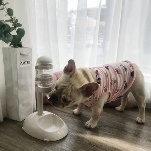 PetDoctor Pole Style Pet <b>Water</b> <b>Drinker</b> Adjustable Height Cat Dog Feeder Single Bowl - Product Image 2