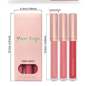 Wholesale Custom Lipstick Kit Waterproof Long Lasting Makeup 3pcs Matte Liquid Lipstick Set