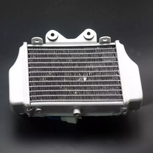 Zongshen radiateur de moteur de refroidissement à eau avec ventilateur accessoires de moteur pour Xmotos <span class=keywords><strong>Apollo</strong></span> <span class=keywords><strong>moto</strong></span> 150cc 200cc <span class=keywords><strong>250cc</strong></span> - Product Image 5