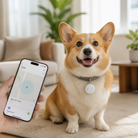 Traceur Anti-Perte Double Système Compatible Apple Find My et Google FindHub – Dispositif de Positionnement Précis Mondial