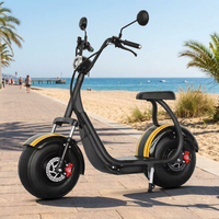 Scooter électrique 1000W pour trajets quotidiens avec haut-parleur Bluetooth, batterie lithium 20AH, pneus larges, Citycoco