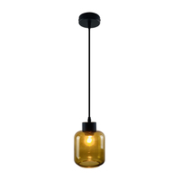 Lustre suspendu LED décoratif en verre rond de style nordique classique, luminaire moderne LED pour la maison