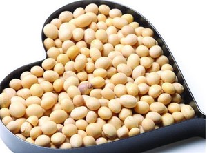 Yüksek kaliteli % 99% saf soya pepton soya proteini pepton - Product Image 3