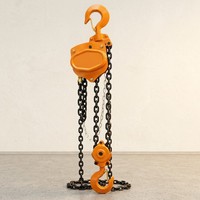 Ensemble de poulies à chaîne manuelle de 2 tonnes pour la construction et le levage