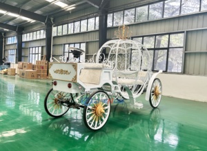Charrette Électrique de Luxe Haute Qualité 2026 pour 6-7 Personnes, 4 Roues, Transport Spécial pour Mariages ou Tourisme - Product Image 4