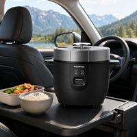 Cuisinière à riz électrique portable 12V/24V 2L, avec minuterie numérique et fonction maintien au chaud, pour voiture, camion, camping-car, extérieur, camping