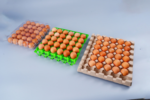 Engh-Tabla <span class=keywords><strong>de</strong></span> ardboard egradable, 30 Cells - Product Image 4