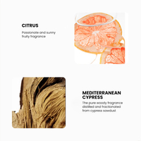 MULAN Savon liquide pour les mains personnalisé Exfoliant Lavage aromatique Sûr Respectueux de l'environnement Rinçage facile Aucun résidu Extrêmement