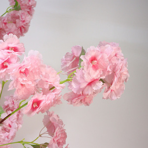 La encantadora elegancia de los árboles de flor de cerezo - Product Image 4