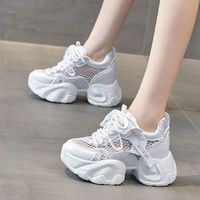 Chaussures de sport pour femmes à plateforme rehaussée, style Daddy, hiver, respirantes, polyvalentes, fines