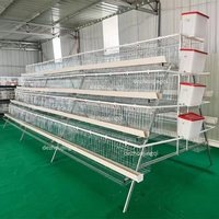 Équipement de ferme avicole Offre Spéciale pondeuse poules système de cage couche batterie cage à poulets