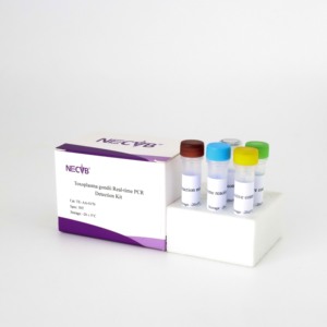 Kit TOX PCR Sonde fluorescente pour la détection de l'ADN de Toxoplasma gondii-Certifié CE, 50 <span class=keywords><strong>tests</strong></span>/kit - Product Image 4